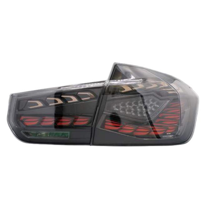 For BMW 3 Series 2013-2018 F30/F35 Dual Dragon Scale Tail Light Modification