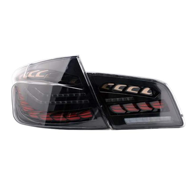 For BMW 5 Series 2010-2017 F10/F18 Dual Dragon Scale Modified Tail Lights