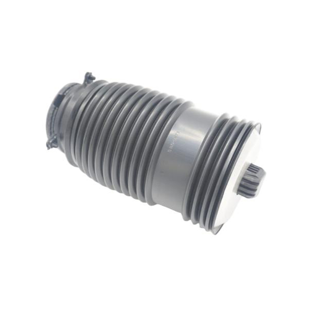 For Mercedes-Benz C-Class W205 Air Shock 2053200125/2053200225